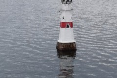 IMG-20191010-WA0085