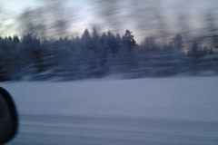 stockholm_4_20171126_1778887193